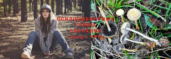 герыч Алексеевка
