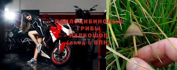 спайс Абаза