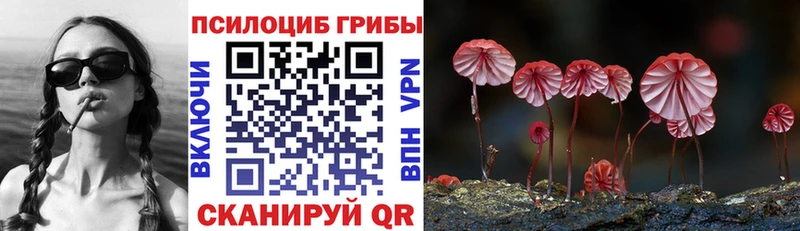 Псилоцибиновые грибы мухоморы  мега сайт  Дыгулыбгей 